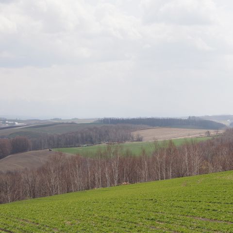 b0042334_15175775.jpg