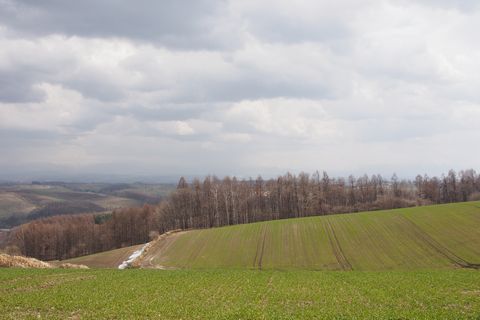 b0042334_151875.jpg
