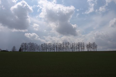 b0042334_15192918.jpg