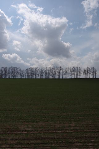 b0042334_15193936.jpg