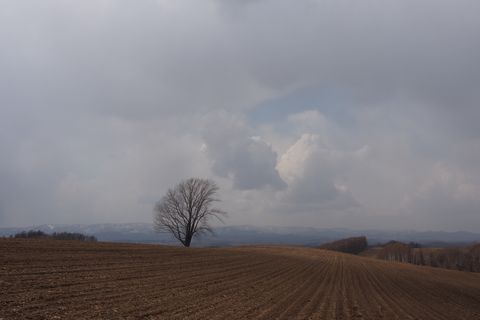b0042334_15215919.jpg