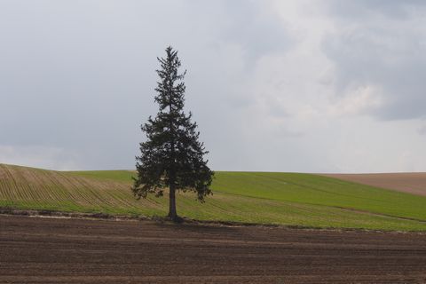 b0042334_15412090.jpg