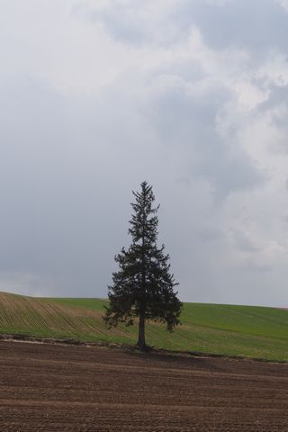 b0042334_15413076.jpg