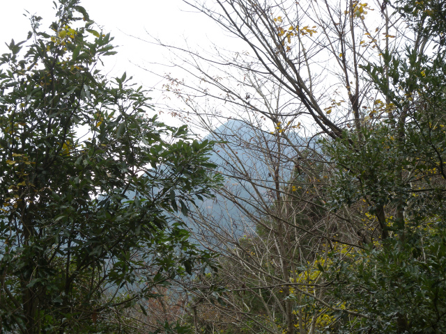 e0272335_185210100.jpg