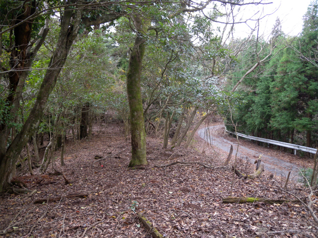 e0272335_18554542.jpg