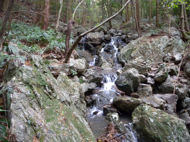 e0272335_19485544.jpg