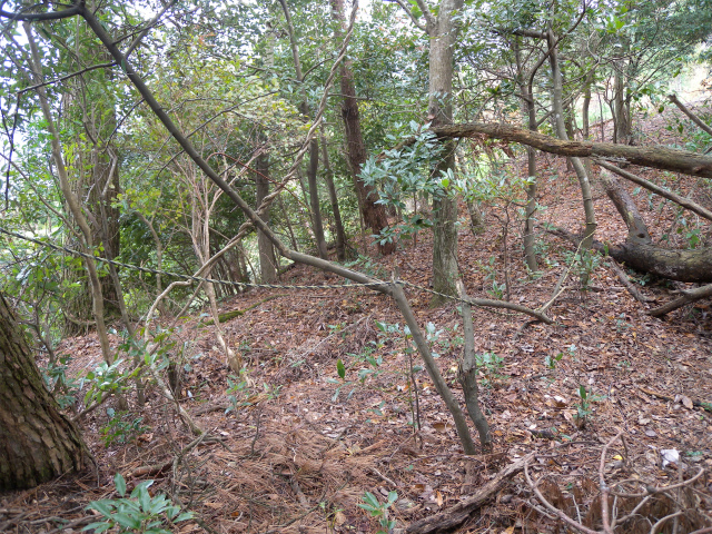 e0272335_198135.jpg
