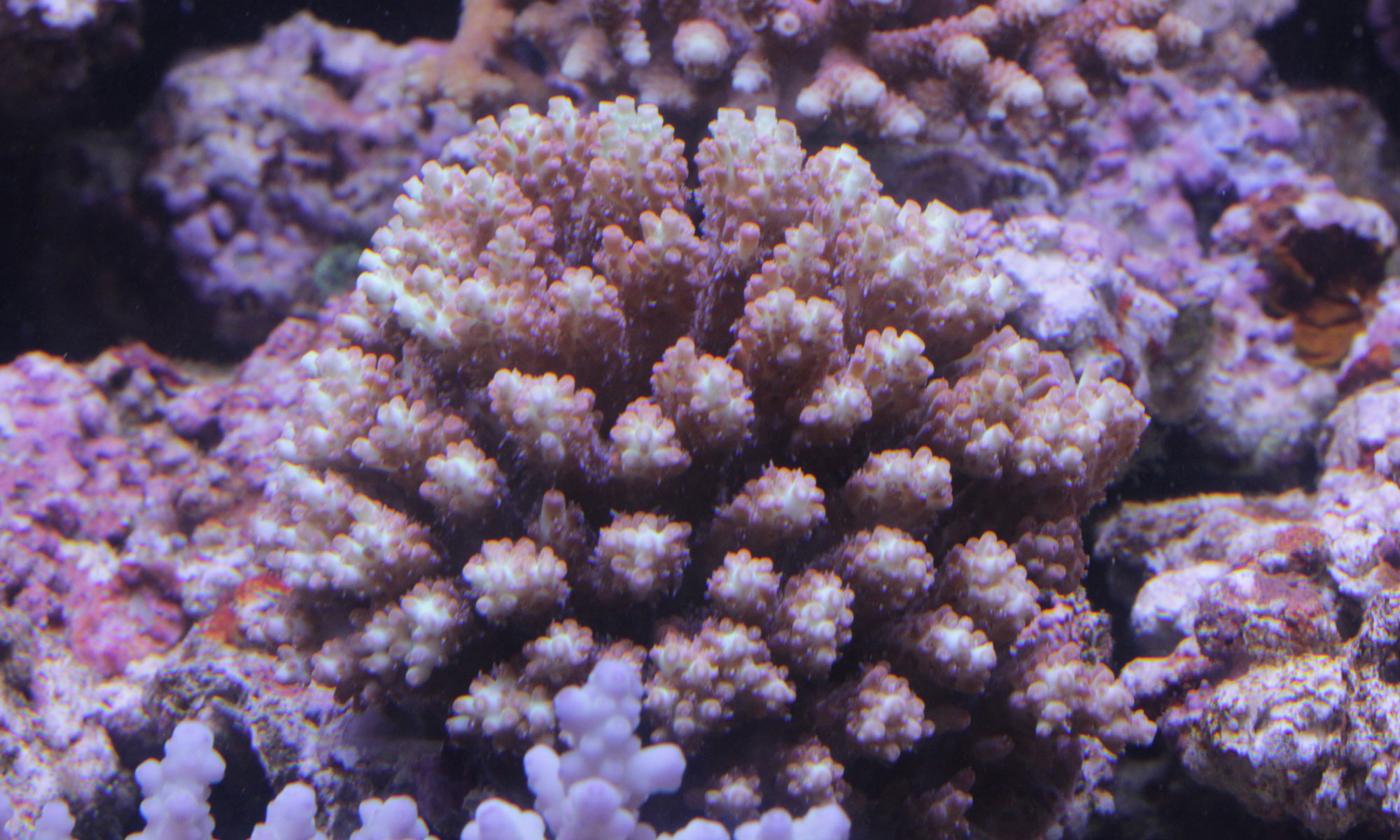 d0221436_20544651.jpg