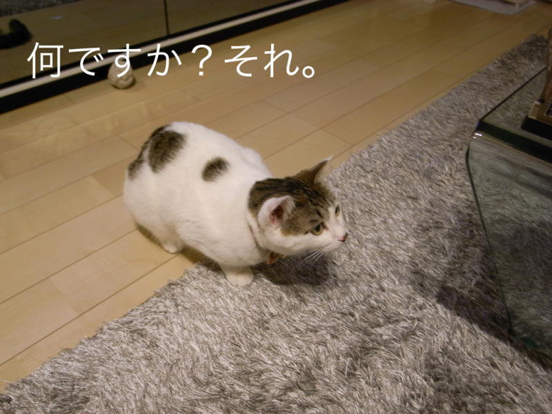 f0032042_21125655.jpg