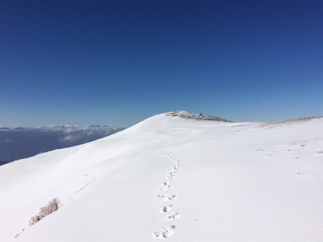 e0329049_21385950.jpg