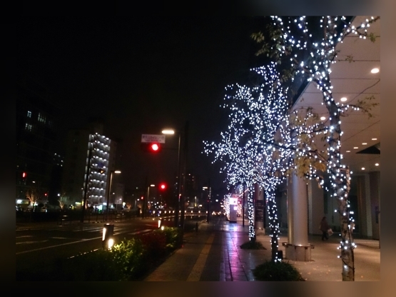 d0347253_02515347.jpg