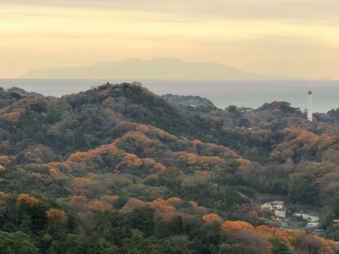e0045768_2159496.jpg