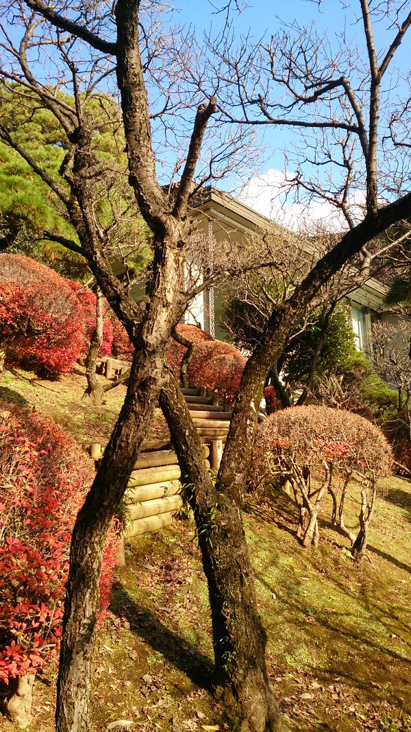 c0002171_20251326.jpg