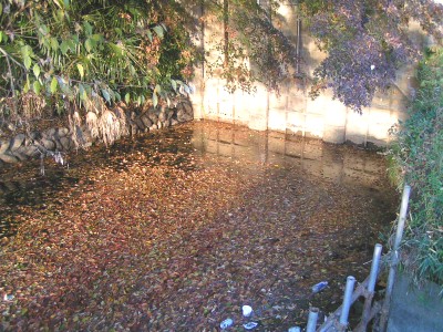 c0112172_23381691.jpg