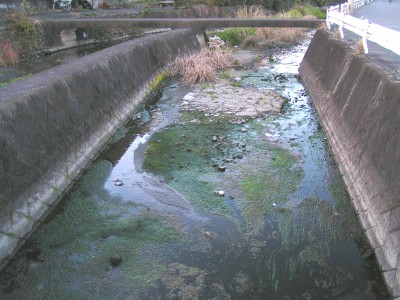 c0112172_23383317.jpg