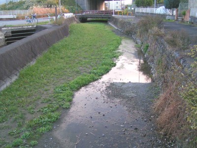 c0112172_23384060.jpg