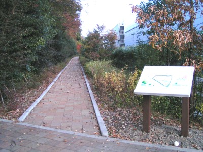 c0112172_2338512.jpg