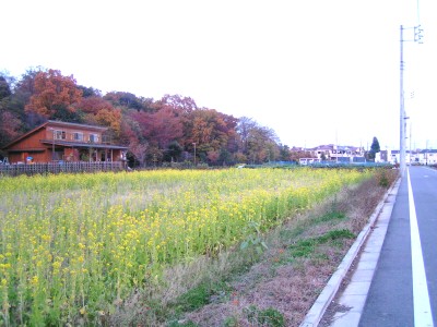 c0112172_2339582.jpg