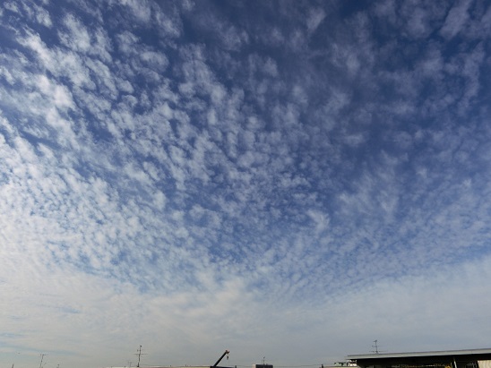 d0147774_21382692.jpg