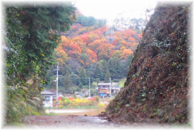 d0175974_19393671.jpg