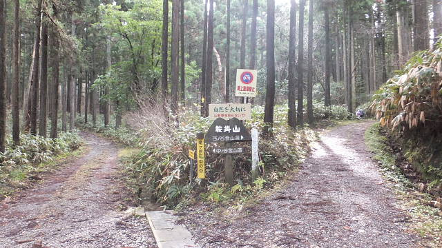 c0022275_1522319.jpg