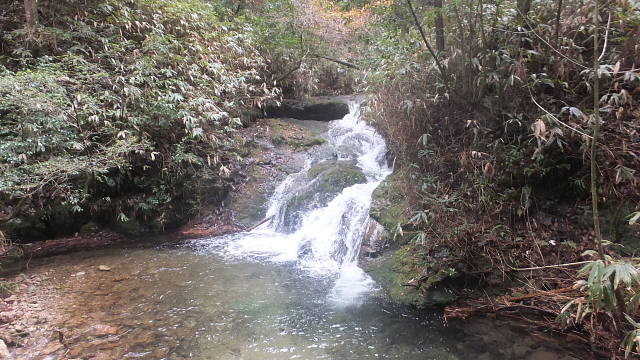 c0022275_15262367.jpg