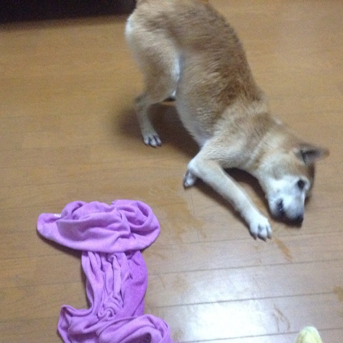 c0123890_2254437.jpg