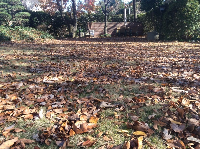 f0268294_21352245.jpg