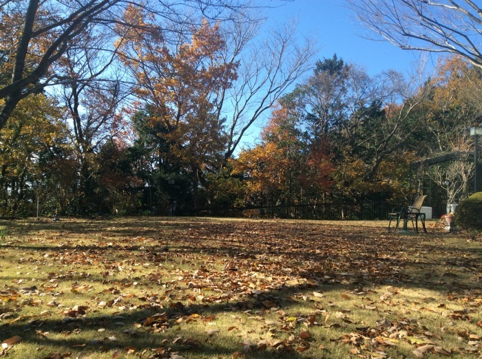 f0268294_21373662.jpg