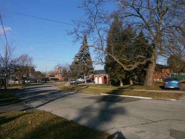 d0000995_7471851.jpg