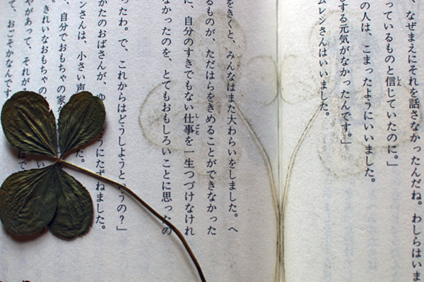 d0100095_09333982.jpg