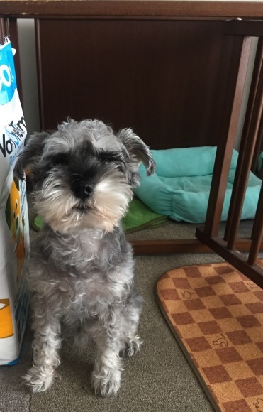 b0188998_00292341.jpeg