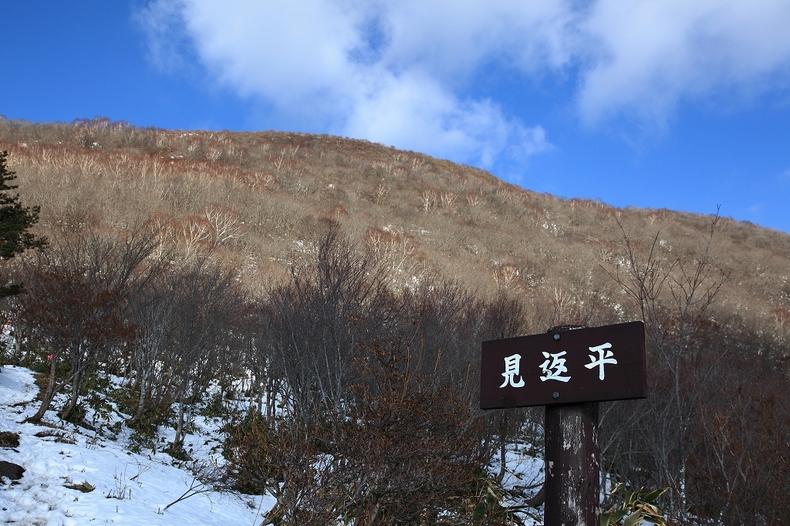 b0050305_1022920.jpg