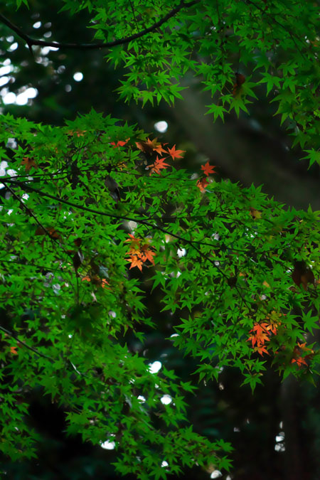 a0263109_9213033.jpg