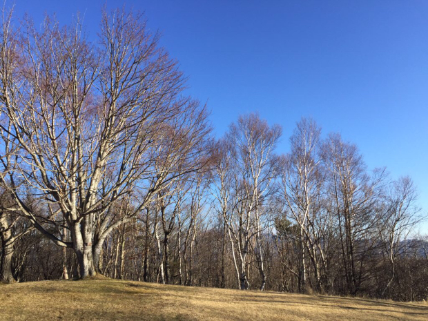 f0232910_10401615.jpg