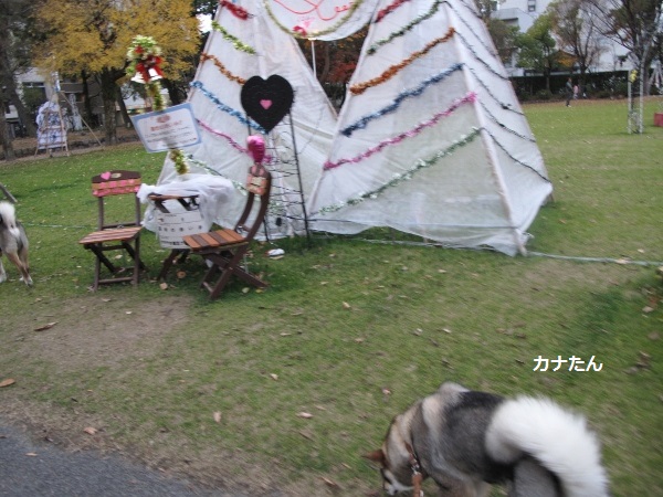 f0143123_19593822.jpg