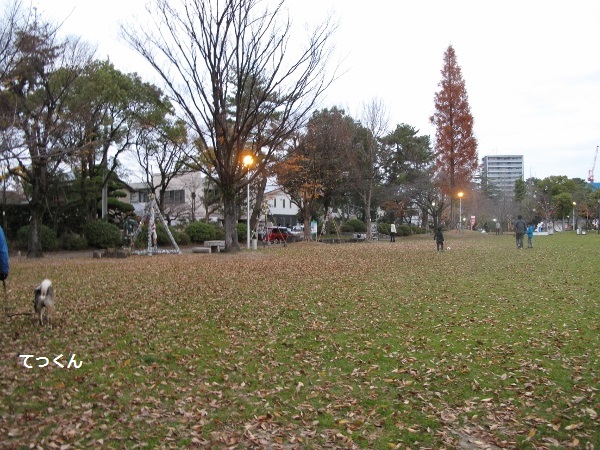 f0143123_2003766.jpg