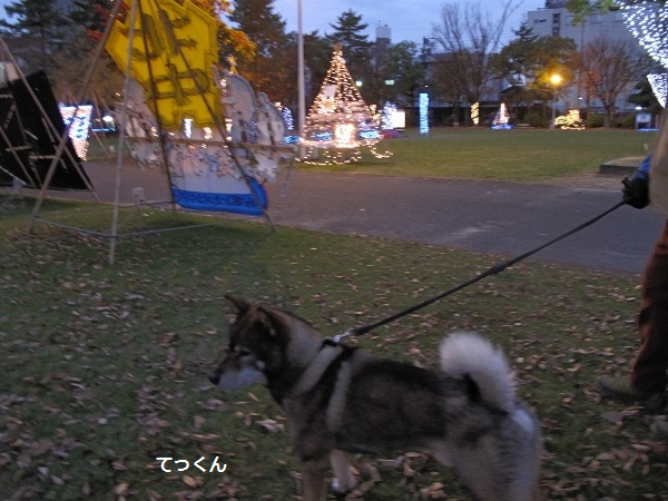 f0143123_2011880.jpg