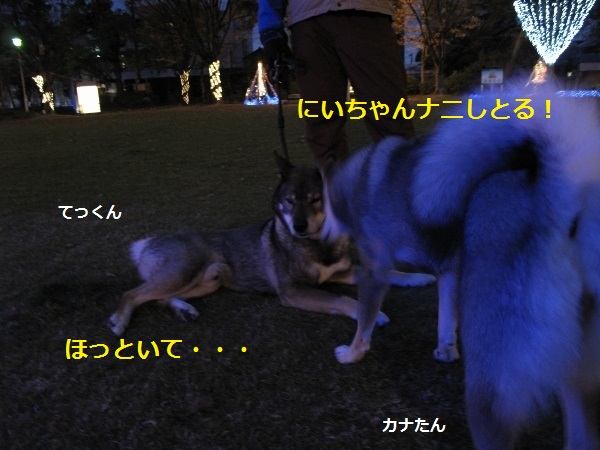 f0143123_2082267.jpg
