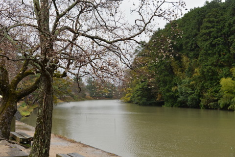e0335926_23053608.jpg