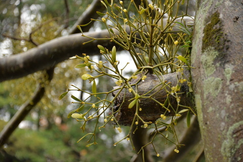 e0335926_23062514.jpg