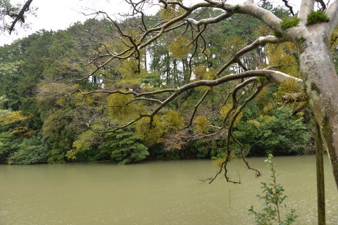 e0335926_23070363.jpg