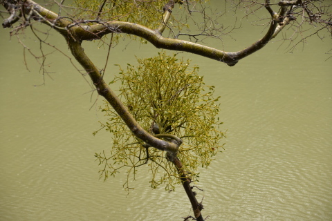 e0335926_23073060.jpg