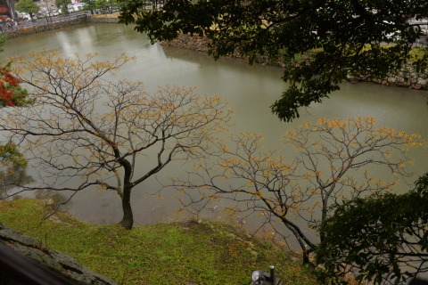 e0335926_23240732.jpg