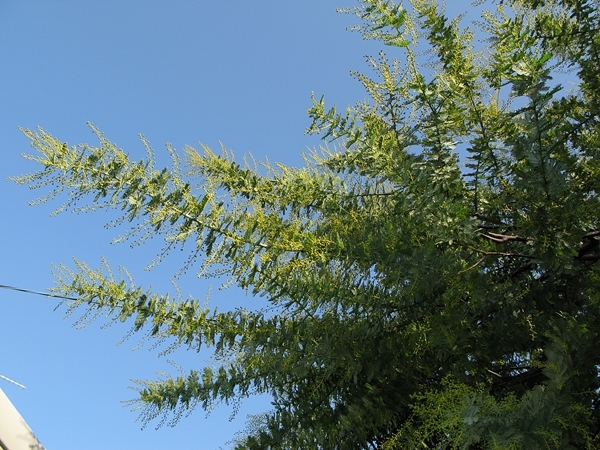 f0129726_22080362.jpg
