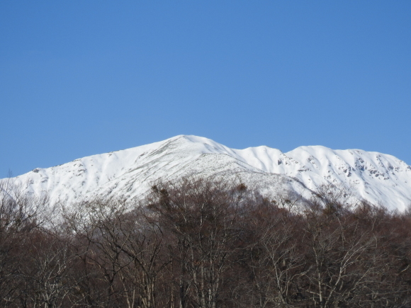 f0118332_00004743.jpg