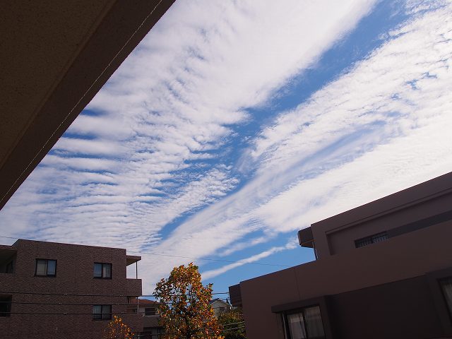 f0321433_17342894.jpg