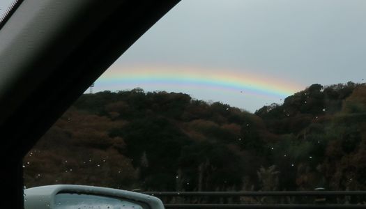 c0134734_17212719.jpg