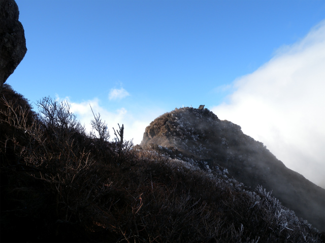 e0272335_20231512.jpg