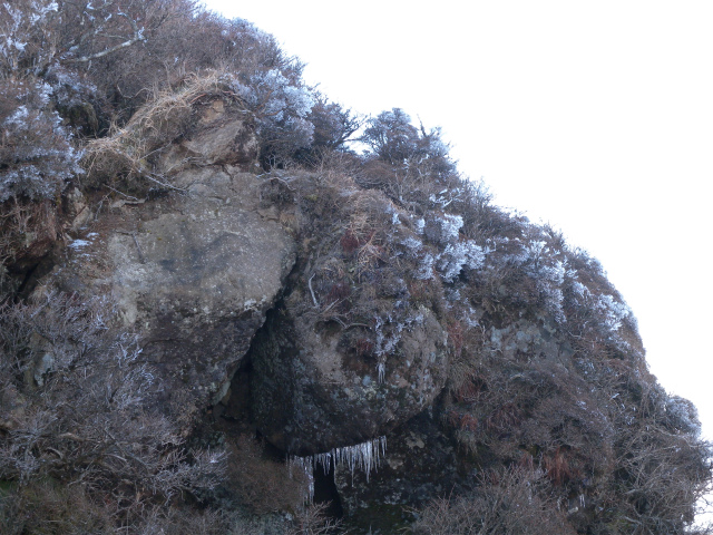 e0272335_2094380.jpg